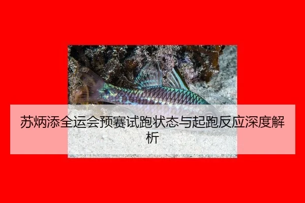 su-bing-tian-quan-yun-hui-yu-sai-shi-pao-zhuang-tai-yu-qi-pao-fan-ying-shen-du-jie-xi-3-679.jpg